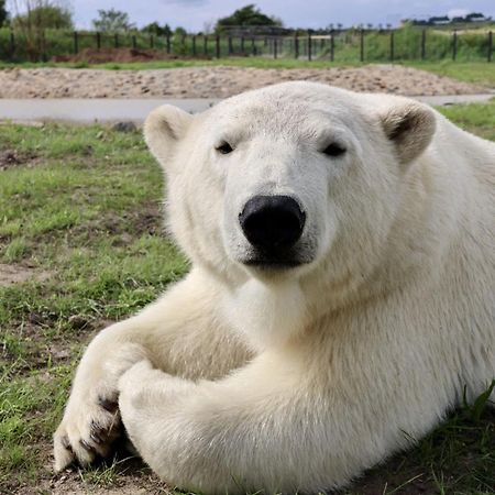 Chic 2 Bed Peak District Cottage Barn Near Alton Towers, Polar Bears, Chatsworth House Leek Dış mekan fotoğraf